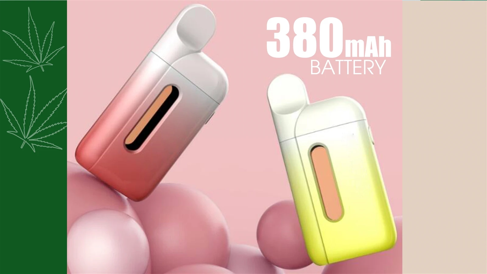 CBD-BOX304
