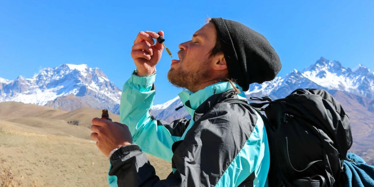 Enhancing Travel Experiences with CBD Your Ultimate Companion for Every Journey