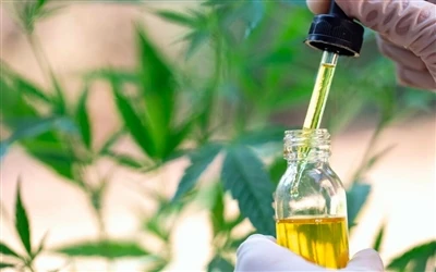CBD 오일의 9가지 건강상의 이점과 부작용