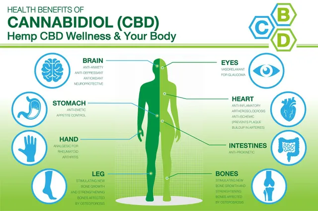 CBD 오일의 5가지 건강상의 이점과 부작용 살펴보기
