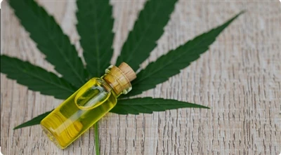 어떤 Highline Wellness 제품이 귀하에게 가장 적합합니까?