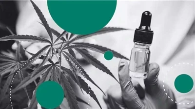 CBD가 최고의 천연 립밤을 만드는 이유