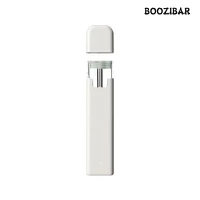 빈 쉘 오브 CBD Vape 펜