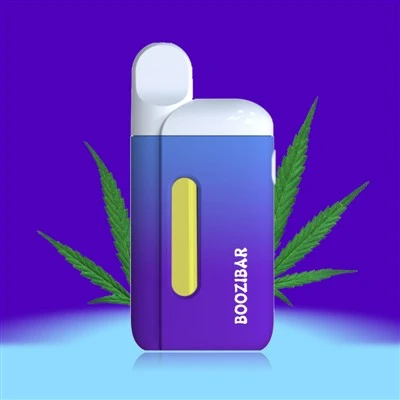 도심 기화기